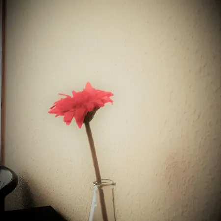 게스트하우스 Santiago